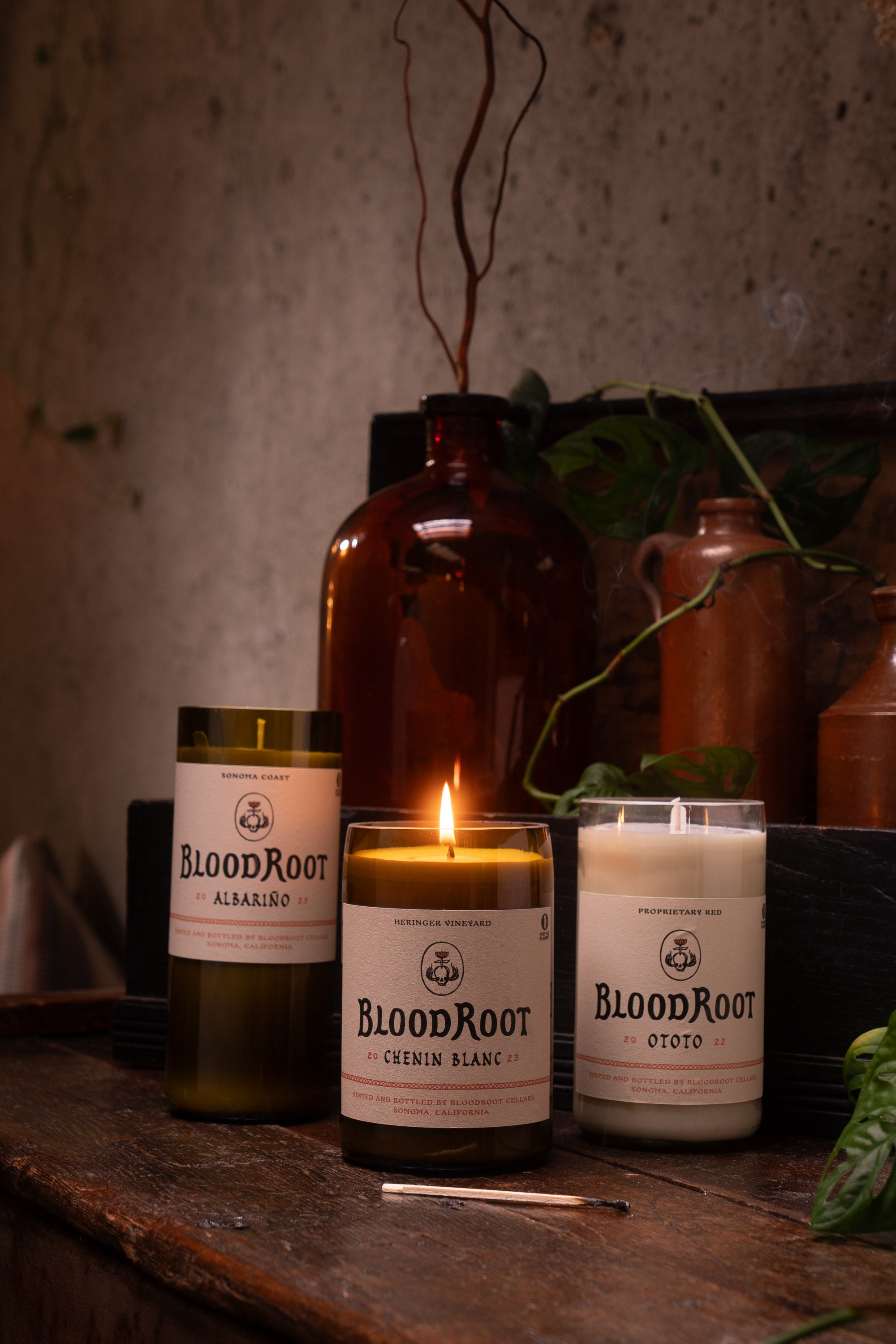 Group of BloodRoot candles lit with used match laying in front
