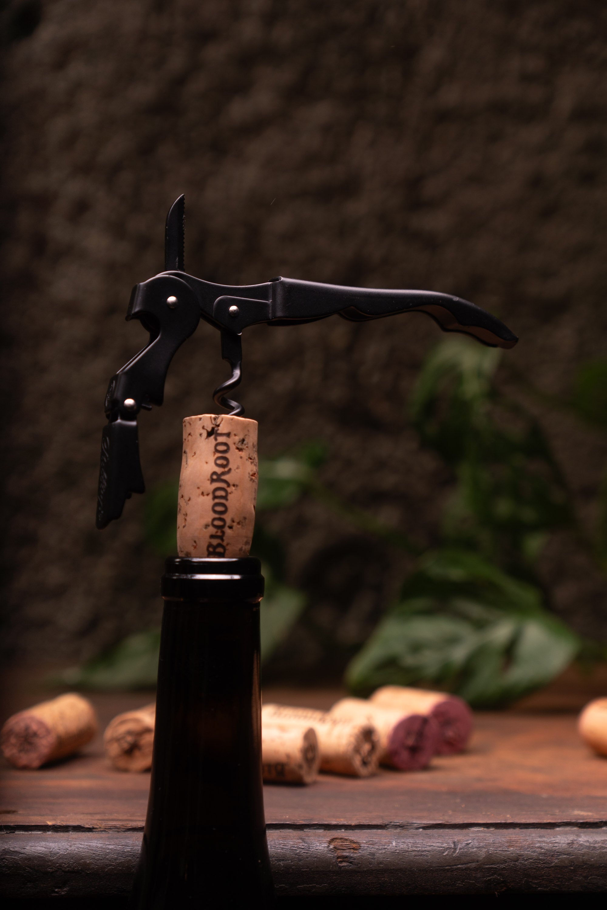 Corkscrew taking out BloodRoot cork from bottle of wine