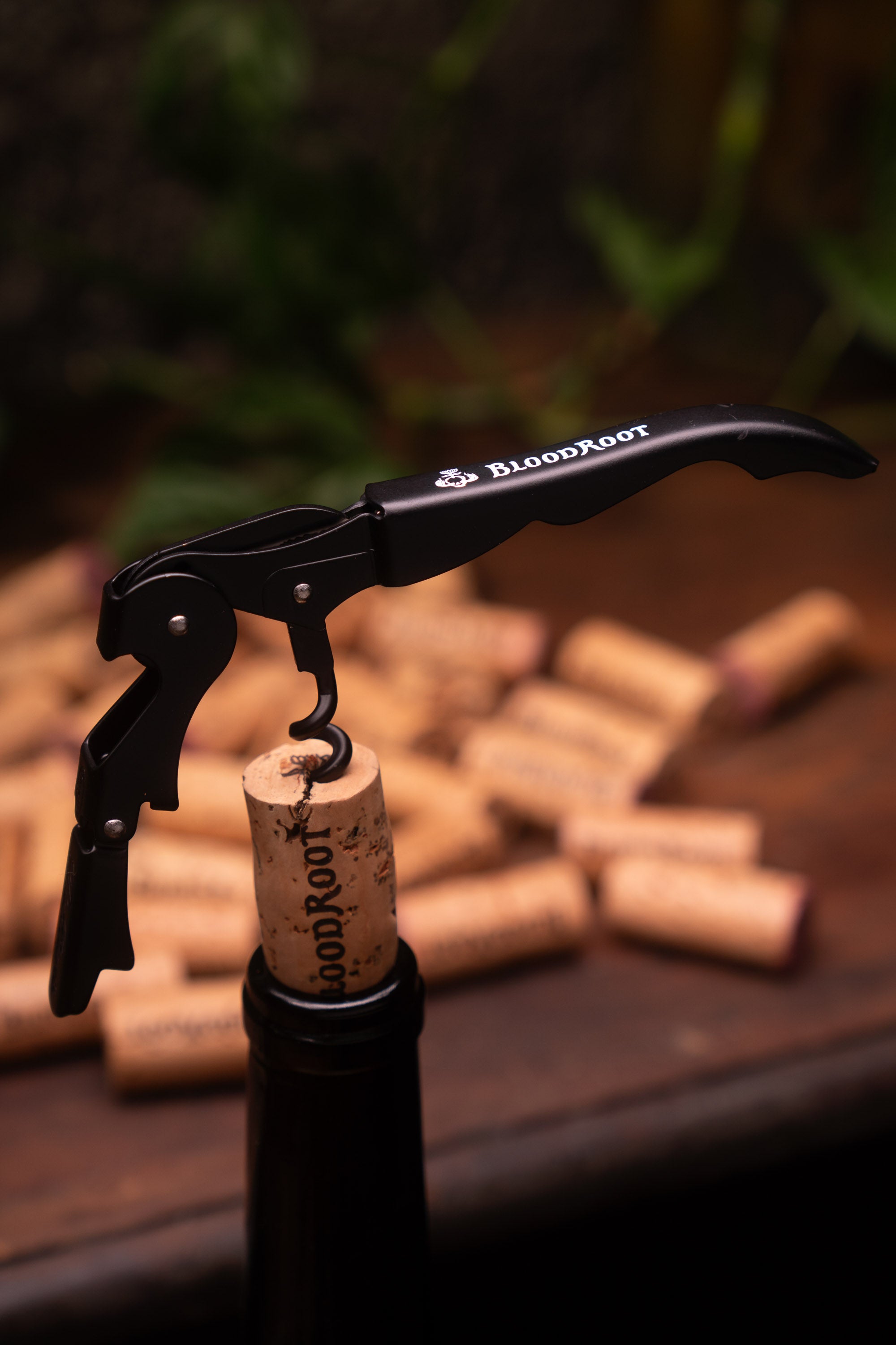 BloodRoot corkscrew opening bottle of wine