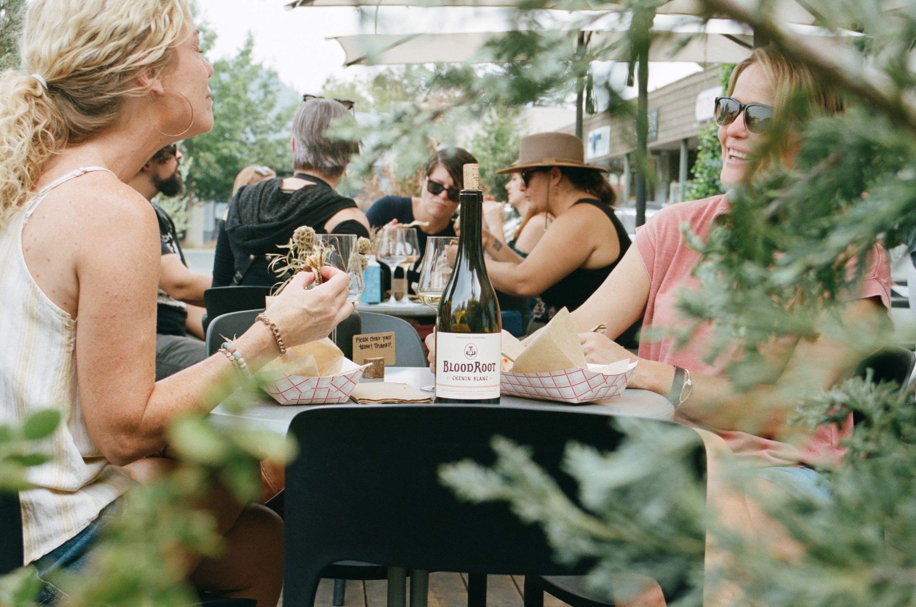 Guests enjoy BloodRoot wine and food from a pop up chef on the tasting room patio. 